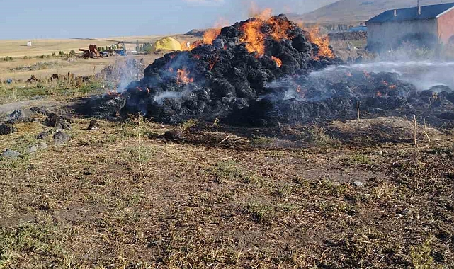 20 ton ot yanarak kül oldu
