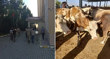 Ardahan'da hayvan hırsızlığı yapan 3 kişi tutuklandı