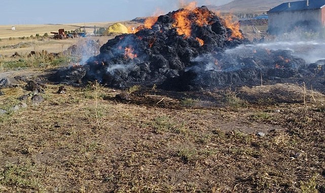 Çıldır’da ot yangını