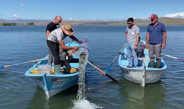 Çıldır'daki doğal yaşama 150 bin yavru sazan desteği