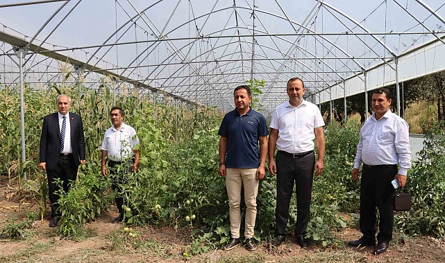 Devlet destekli seralar çiftçilerin yüzünü güldürdü