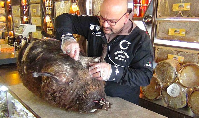 Kars'ta asırlık tuluk peyniri yoğun ilgi görüyor