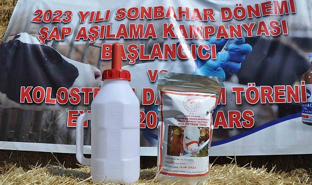 Kars'ta Sonbahar Dönemi Şap Aşılama kampanyası başladı