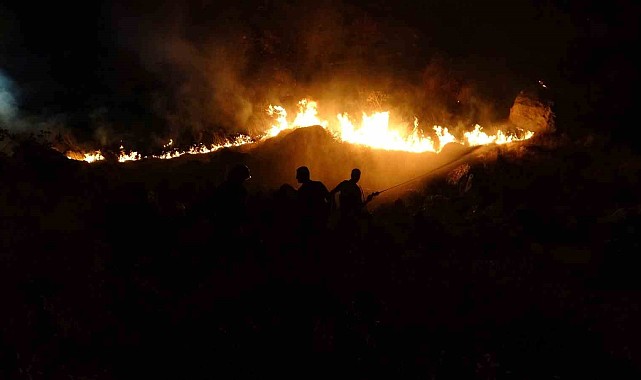 Malatya'daki dağlık alanda çıkan yangın kontrol altına alındı
