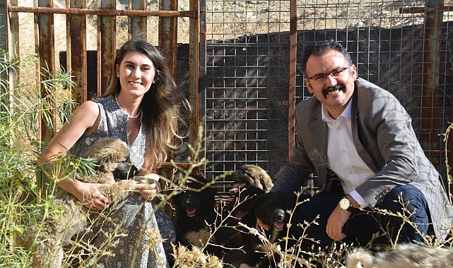 Sahipsiz yavru köpeklere kaymakam ve eşi sahip çıktı
