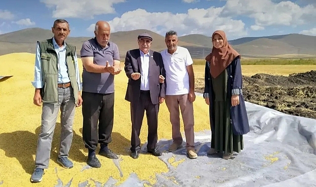 TMO Ardahan'da ilk kez hububat alıma başladı