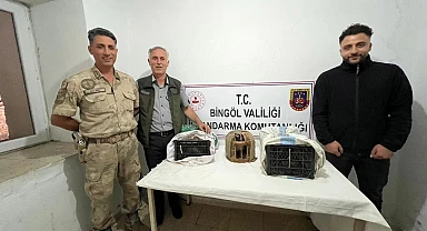 Kınalı keklik avladı, 34 bin 500 TL ceza yedi!