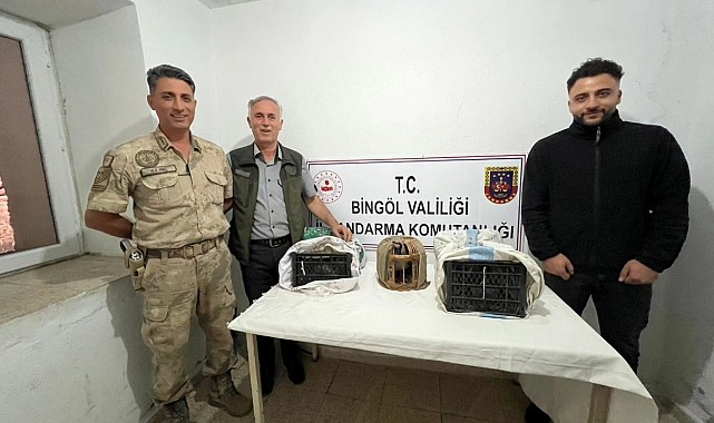 Kınalı keklik avladı, 34 bin 500 TL ceza yedi!