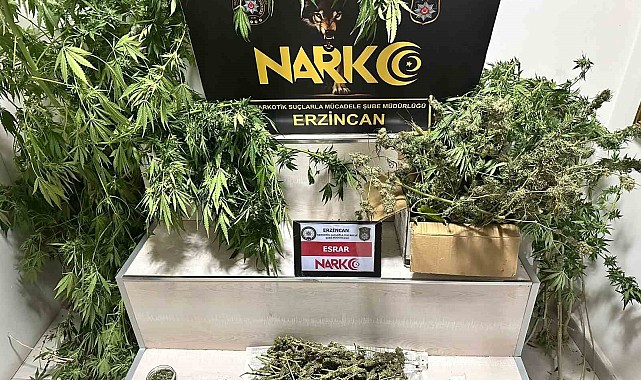 1.285 gram esrar ve 11 kök kenevir ele geçirildi