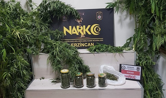 642.49 gram esrar ve 3 kök kenevir ele geçirildi