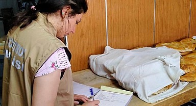 81 ilde eş zamanlı denetim başladı