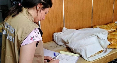 81 ilde eş zamanlı denetim başladı