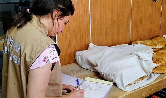 81 ilde eş zamanlı denetim başladı
