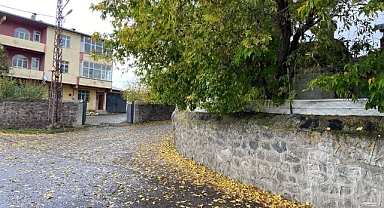 Ağaçların yaprak dökümü başladı