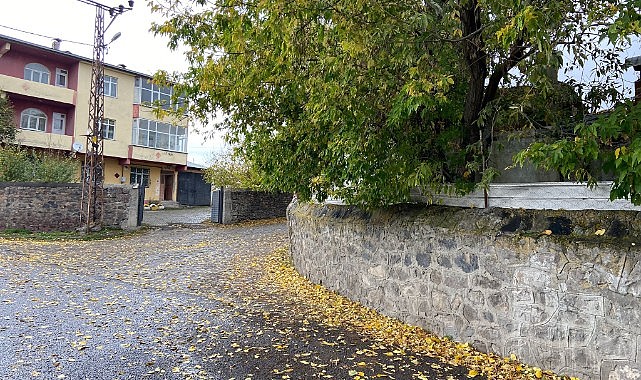 Ağaçların yaprak dökümü başladı