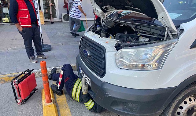 Aracın motoruna sıkışan yavru kediyi itfaiye kurtardı