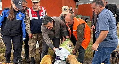 Başkan Demir; Dünya onlarla daha güzel