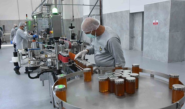 Bitlis balı, seçkin marketlerin raflarında yerini alacak