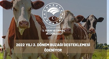 Buzağı desteklemesi ödemesi başlıyor
