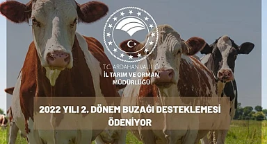 Buzağı desteklemesi ödemesi başlıyor