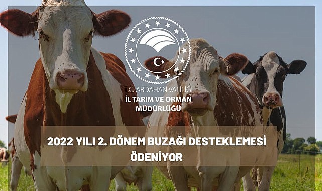 Buzağı desteklemesi ödemesi başlıyor