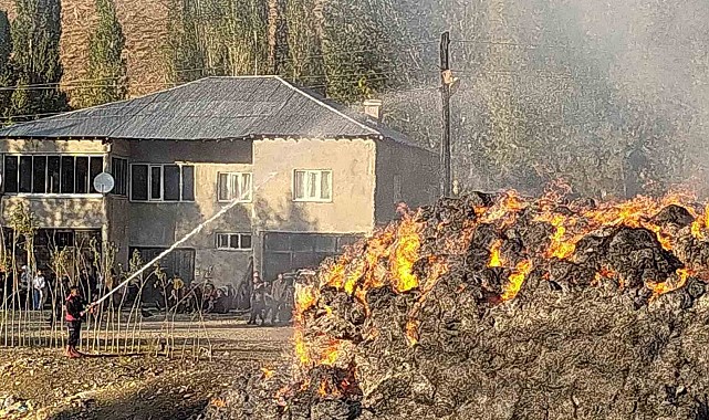 Çıkan yangında 20 bin bağ ot yandı