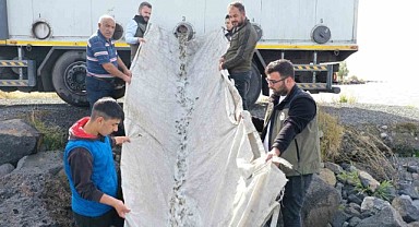 Çıldır Gölü'ne yavru sazan bırakıldı