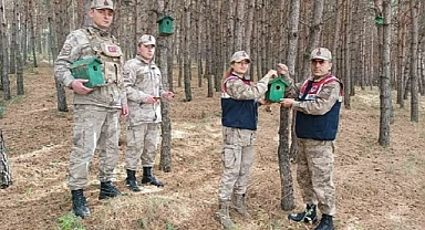 HAYDİ Timleri, kuşları yuvalarına kavuşturdu