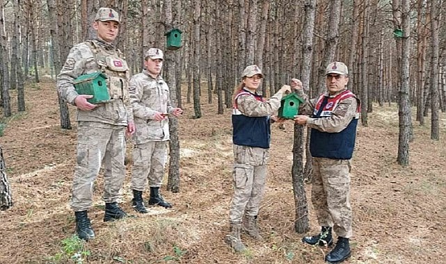 HAYDİ Timleri, kuşları yuvalarına kavuşturdu