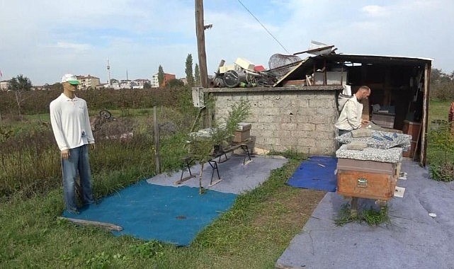 İlginç arı kovanları: Tabut, cansız manken, varil