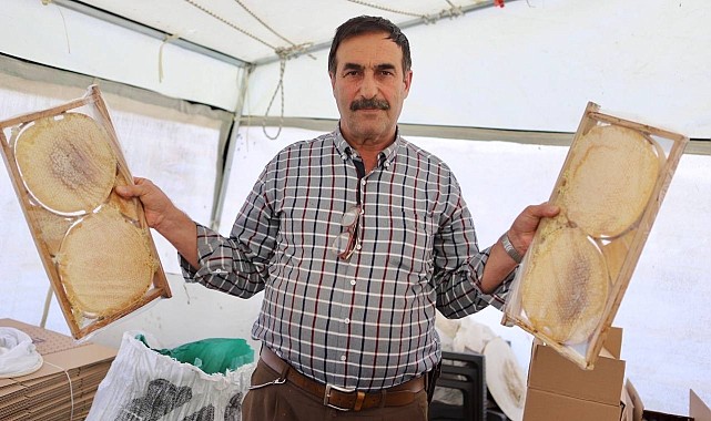 Kanser hastası oğlunu bal ile tedavi eden baba, arıcılığı meslek edindi