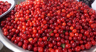 Kızılcık, tezgahlarda yerini aldı