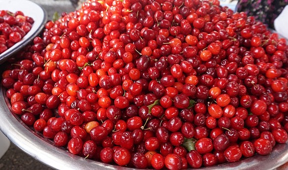 Kızılcık, tezgahlarda yerini aldı