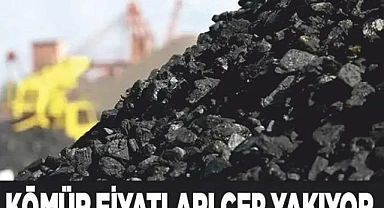 Kömür fiyatları cepleri yakacak