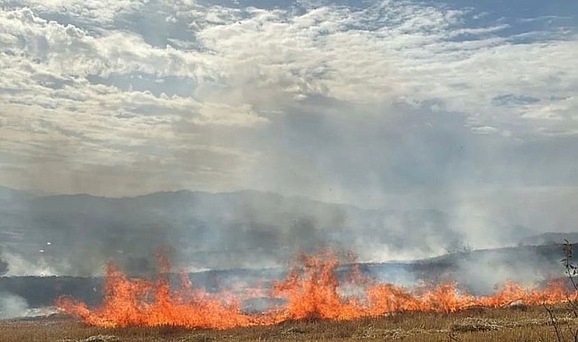 Korkutan anız yangını