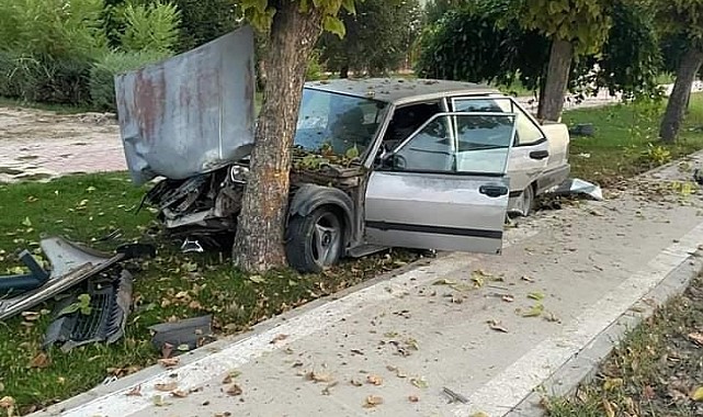 Otomobil ağaca çarptı: 1 yaralı