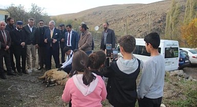 Saffet Kaya, neyi kutluyor?