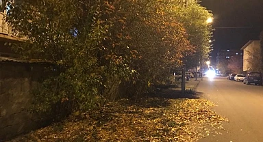 Sararan yapraklar toprakla buluştu