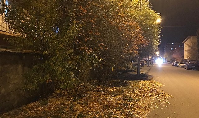 Sararan yapraklar toprakla buluştu