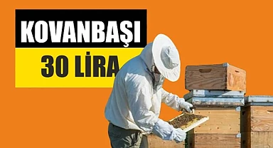Tarım Bakanlığı arıcılara kovan başı para verecek!