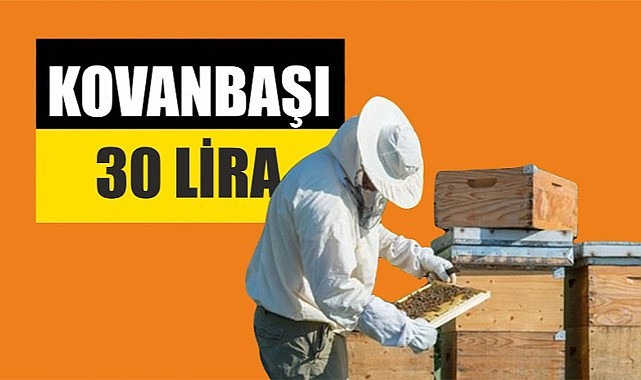Tarım Bakanlığı arıcılara kovan başı para verecek!
