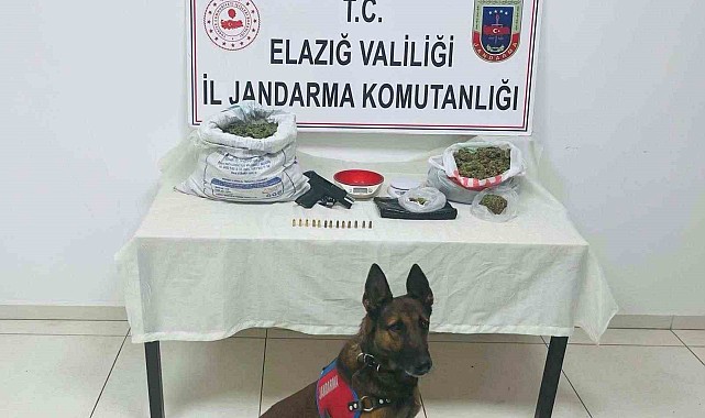 Uyuşturucu operasyonu: 2 gözaltı