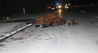 Ardahan’da feci kaza!