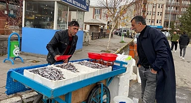 Ardahan'da tezgahlar balıkla doldu
