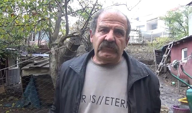 Ayılar kış uykusu öncesi vatandaşların hayvanlarına zarar veriyor