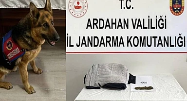 Cezaevine uyuşturucu sokmaya çalışan kişi yakalandı