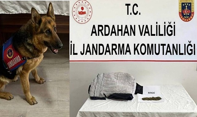 Cezaevine uyuşturucu sokmaya çalışan kişi yakalandı