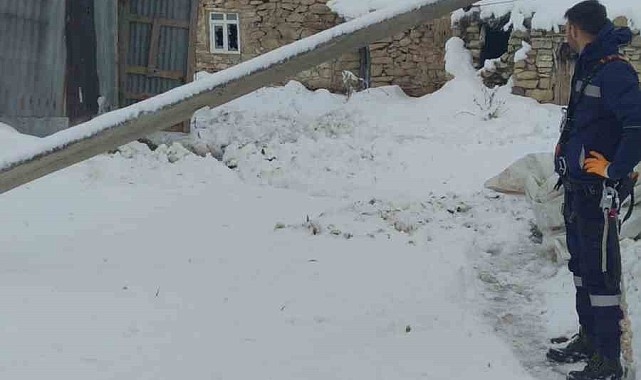 Direkler devrildi, 30 mahalle 3 gün karanlıkta kaldı