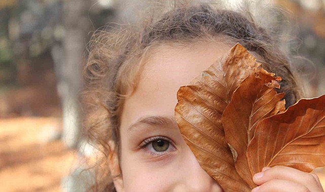 Erzincan&#039;da ormanlık alanlarda renk cümbüşü