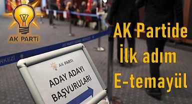 İlk adım E-temayül